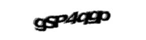Security check image, please type the characters shown